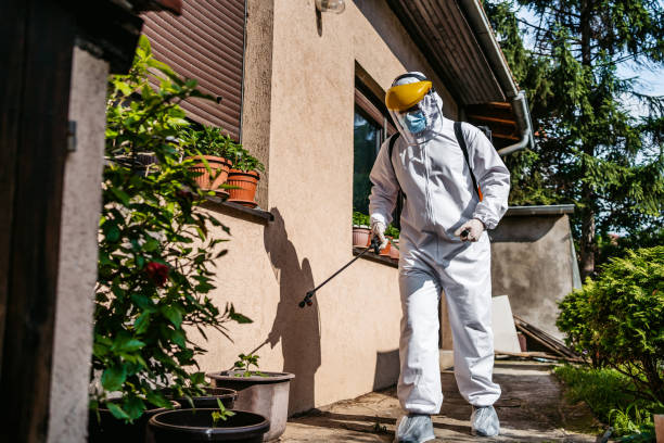  Terrell, TX Pest Control Pros