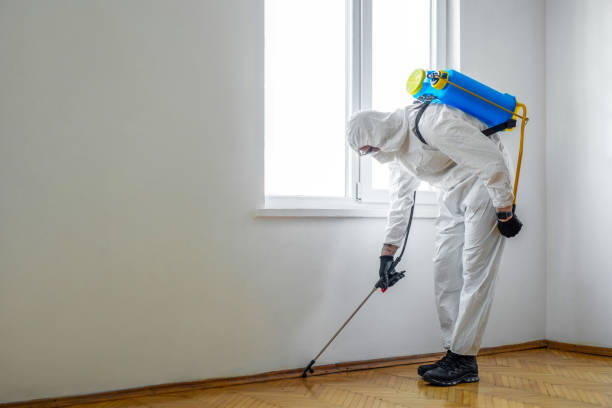 Best Residential Pest Control  in Terrell, TX