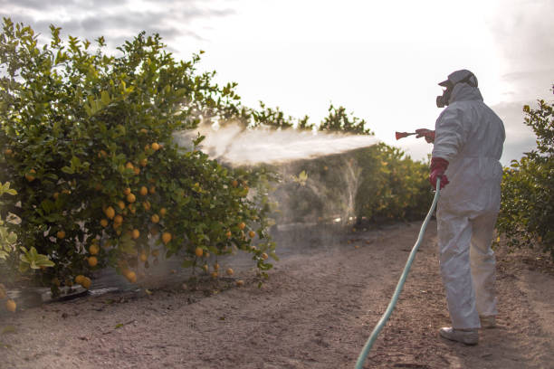 Best Best Pest Control Companies  in Terrell, TX