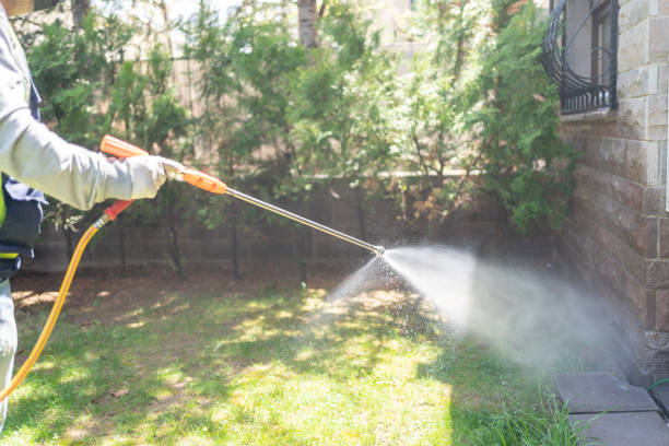 Best Flea Control Services  in Terrell, TX