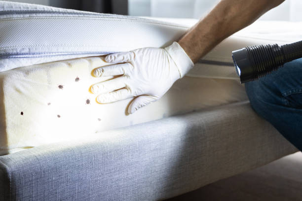 Best Best Pest Control Companies  in Terrell, TX