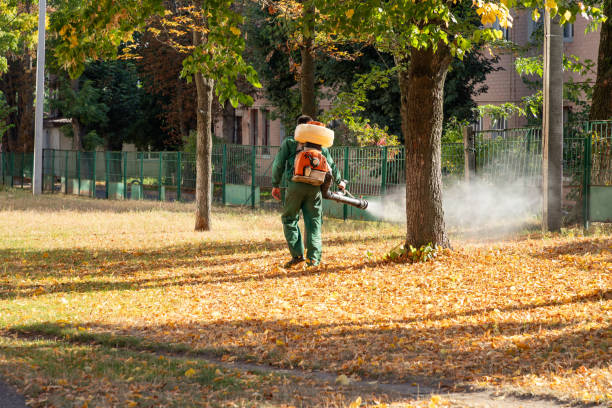 Best Best Pest Control Companies  in Terrell, TX