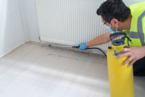 Trusted Terrell, TX Pest Control Experts