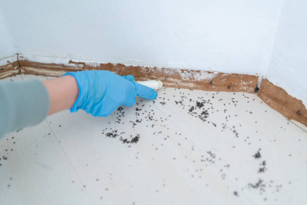 Best Pest Inspection Near Me  in Terrell, TX